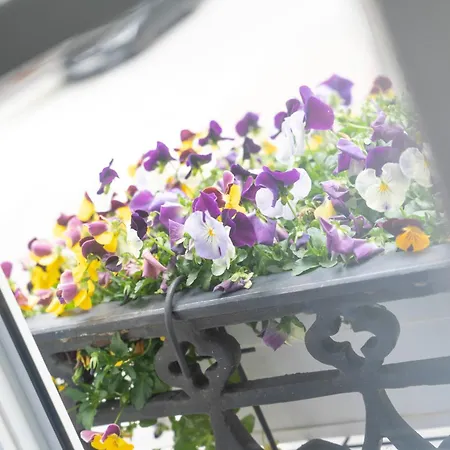 A Casa Do Rio מלון Pontecesures