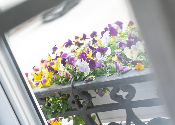 A Casa Do Rio ホテル ポンテセスーレス