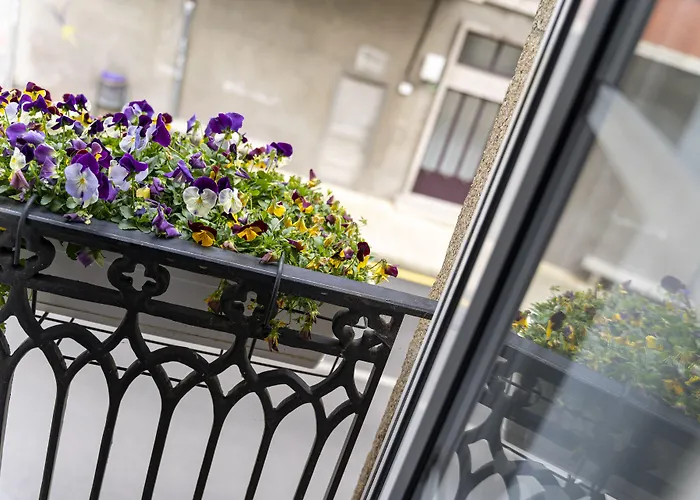 A Casa Do Rio 호텔 2*